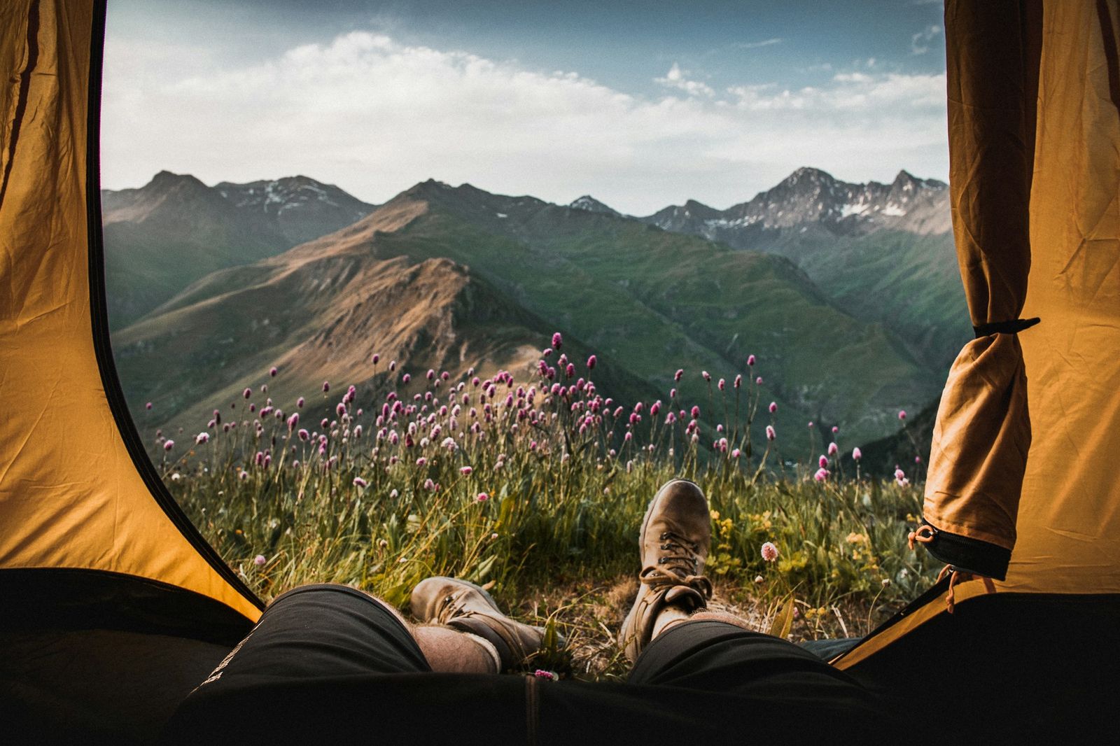 The view from inside a tent: hiking boots, a meadow of pink wildflowers, and a green mountain range under morning cloud.