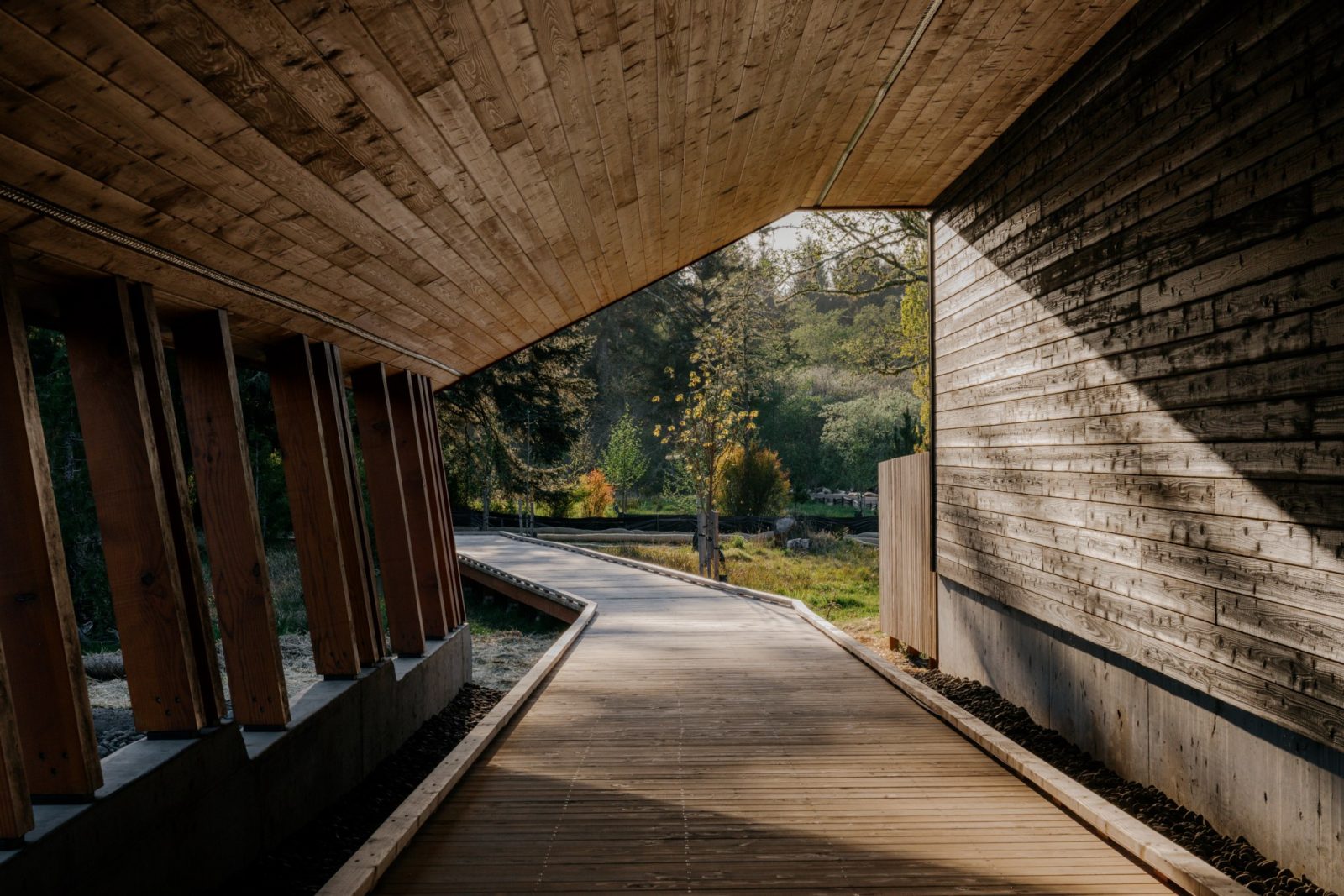 The covered boardwalk into Snow Peak Campfield, a timber ceiling over leaning wooden posts on one side and a charred wood wall on the other, opening onto grass and trees