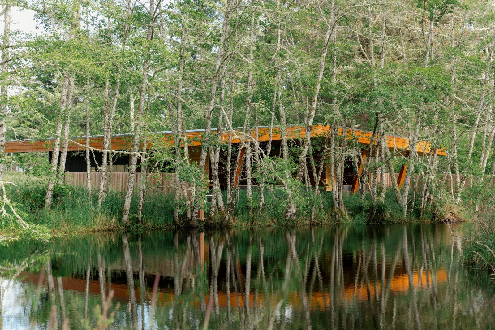 The low timber Ofuro bathhouse at Snow Peak Campfield, seen across a still pond through a stand of thin alders